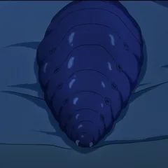 比比泽头像